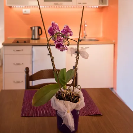Apartmants Bogdanic Krk II Krk Town Exterior photo